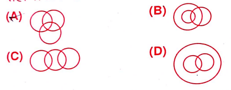 RSMSSB CET Answer Key 7 Jan 2023 Shift 2| Rajasthan CET Answer Key 2023 1 image 1